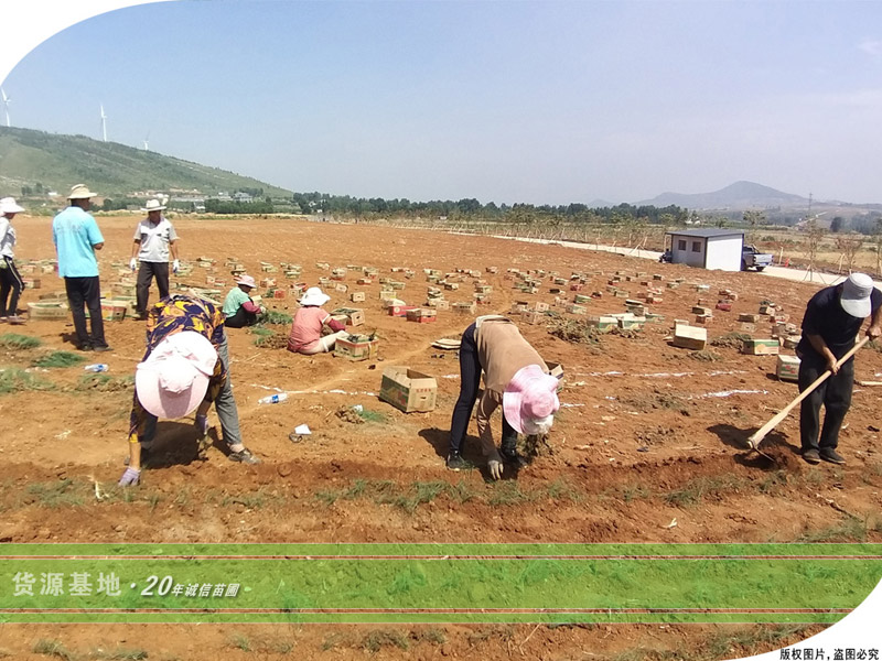 1760769192390892.jpg 2.jpg