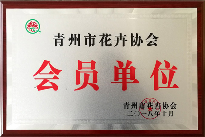 1761030720693591.jpg 1.jpg