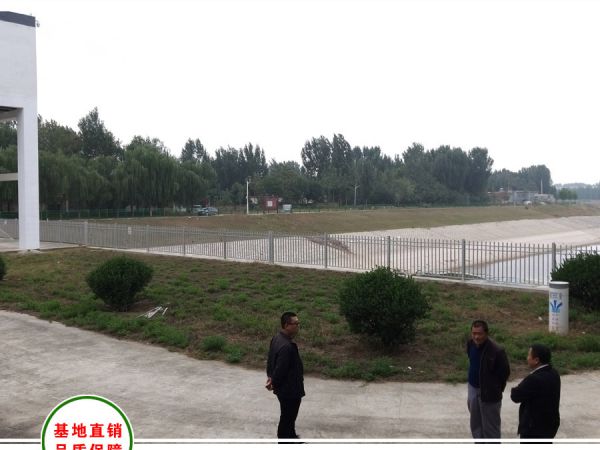 泰安南水北调项目段绿化工程