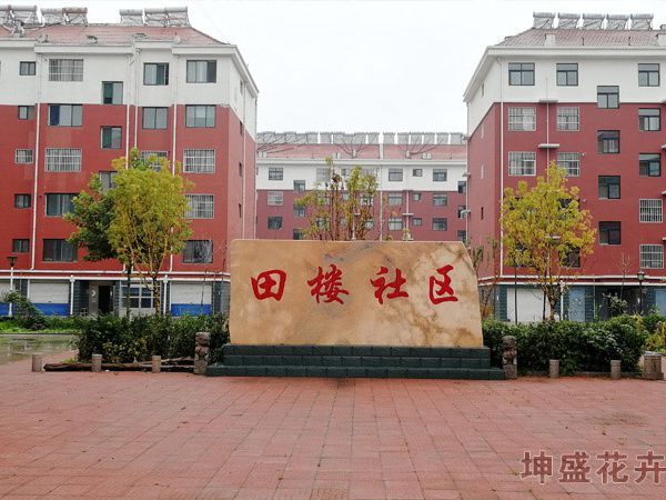 美丽乡村绿化工程