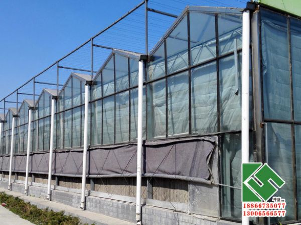 花卉玻璃温室大棚