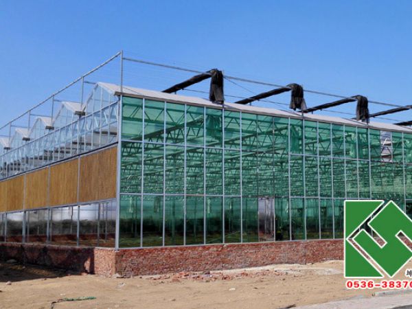 文络式玻璃温室