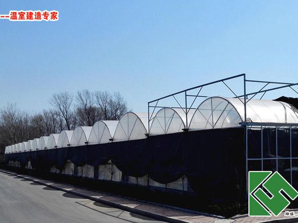 连栋薄膜温室大棚