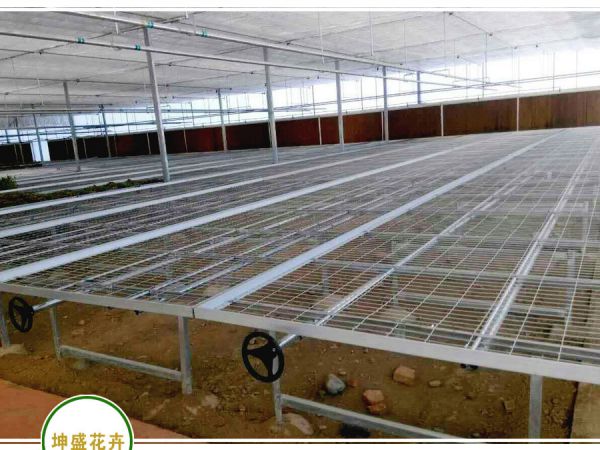 育苗床