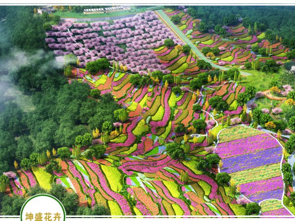 丘陵花海打造