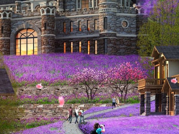 花海康养小镇建设