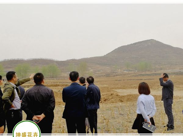 花海项目勘测
