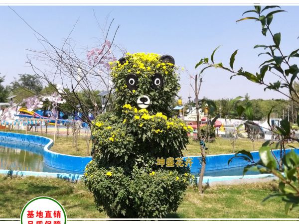 菊花造型-熊猫