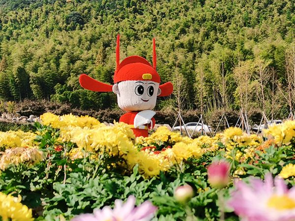 余姚美丽乡村花海施工